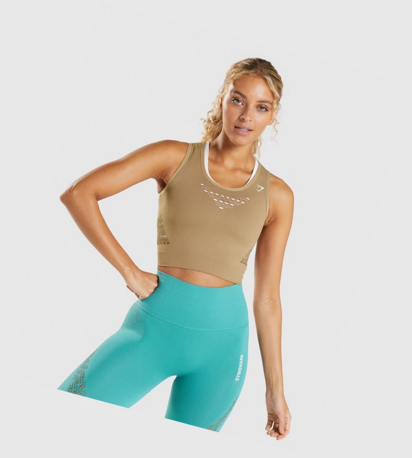 Dámské Tričko Gymshark Energy Seamless Crop Top Hnědé | CZ-4410041