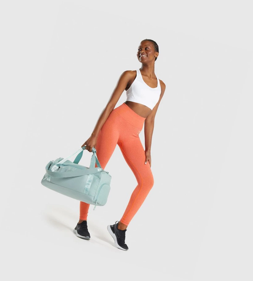 Pánské Tašky & Batohy Gymshark Everyday Gym Světle Blankyt | CZ-4411223