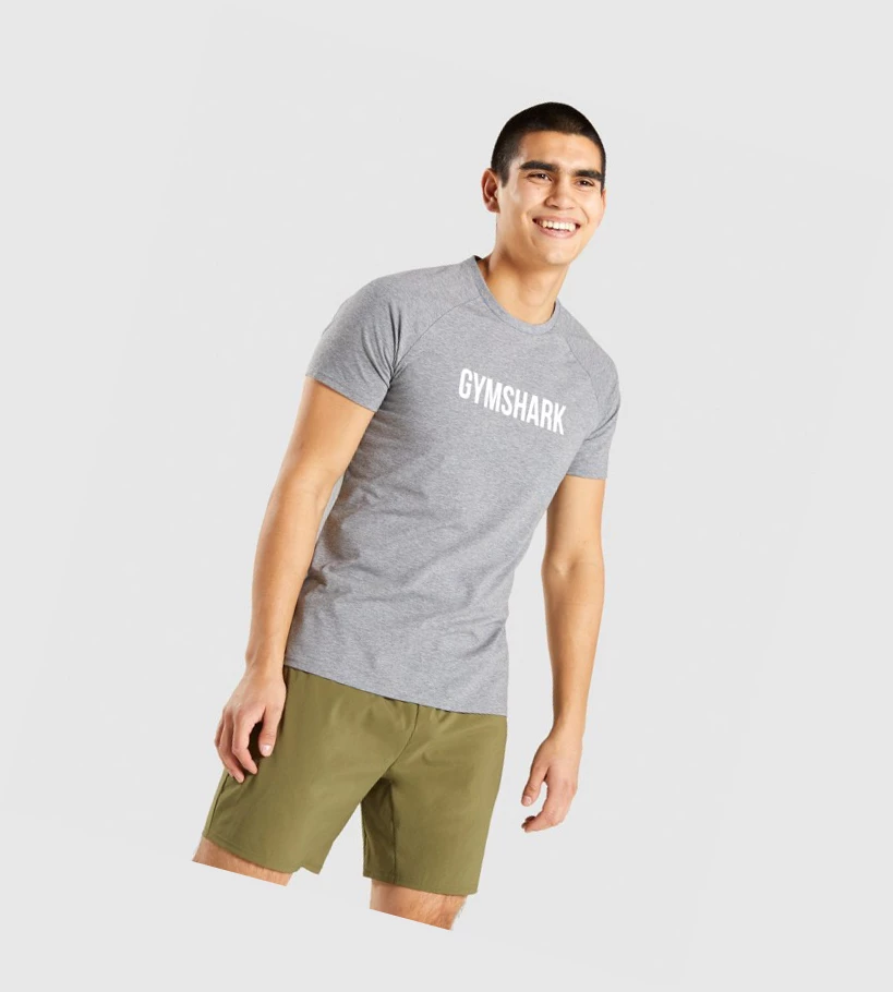 Pánské Tričko Gymshark Apollo Šedé | CZ-4409850